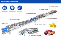 Volledig automatische passievrucht was- en sorteerlijn met meertraps sorteerinstallatie