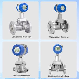 <span class=keywords><strong>Medidor</strong></span> de Flujo Vortex de Alta Precisión con Acero Inoxidable <span class=keywords><strong>para</strong></span> <span class=keywords><strong>Gas</strong></span> <span class=keywords><strong>Natural</strong></span>, Aire Comprimido y <span class=keywords><strong>Gas</strong></span> Industrial - Personalizable OEM - Product Image 2