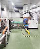 Palettiseur de caisses en carton industriel ollaboratif Palettiseur de bras robotisé Palettiseur robot
