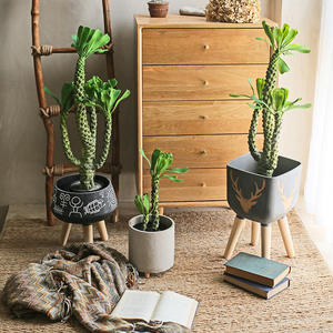 Simulation Plante Verte Cactus Roi Fouet Cactus En Pot Brésilien Dragon Os Arbre Désert Tropical Aménagement Paysager Décoration de La Maison - Product Image 2