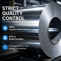 Bobina de Acero Laminado en Frío SJTSTEEL DC01 SPCC CRC, Lámina de Acero con Bajo Contenido de Carbono para Muebles y Construcción, Precio de Material de Construcción