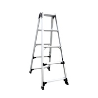 Échelle combinée escamotable double usage en alliage d'aluminium, personnalisable OEM, portable en plastique pour usage tout-terrain