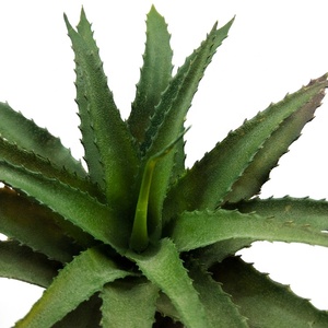 Planta Suculenta Artificial con Decoración de Hoja de Piña <span class=keywords><strong>para</strong></span> Uso en Interiores y Exteriores, Decoración de Jardinería, <span class=keywords><strong>Plantas</strong></span> Suculentas <span class=keywords><strong>Artificiales</strong></span> - Product Image 4