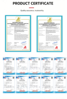 100L Patlamaya Dayanıklı Sıcaklık ve Nem Test Kabini -40-150 ° EV Bataryası Yarı İletken Kimyasal Testleri için C 30~95%RH IIB T4
