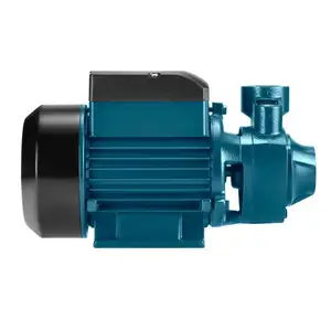 Ronix Rh-4020 Electric Water Pump Heavy Duty Peripheral Booster Pump 1/2Hp 0.5Hp Dc Jet Pump Electric