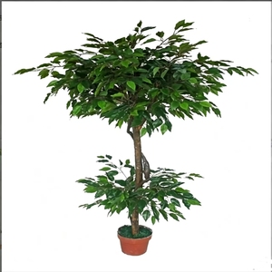 <span class=keywords><strong>Arbre</strong></span> <span class=keywords><strong>banian</strong></span> artificiel réaliste au toucher naturel pour la décoration intérieure et extérieure, patio, véranda, plantes de sol - Product Image 3