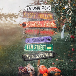 Décorations de jardin directionnelles effrayantes pour Halloween avec toiles d'araignées en PP, découpées sur mesure pour les fêtes d'Halloween - Product Image 3