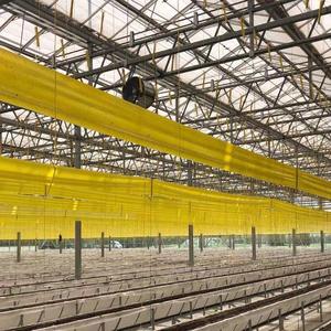 Rollo de pegamento de mosca colgante gigante grande para insectos de invernadero - Product Image 5