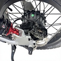 Vélo de montagne électrique 72V 40Ah 2000W, double batterie au lithium, moteur à couple élevé, pneus larges 20"x4.0, VTT tout-terrain personnalisable