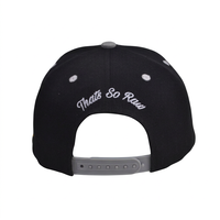 Casquette de baseball à 6 panneaux avec broderie 3D, visière grise, 100% coton, style streetwear hip-hop, unisexe, utilisable en toutes saisons