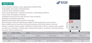 औद्योगिक प्रयोगशालाओं और अभिलेखागार के लिए विस्फोट-प्रूफ डीह्यूमिडिफायर - Product Image 5