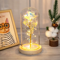 Fleurs artificielles avec lumière, prix attractif, fourniture d'usine, cadeaux pour femmes dans un dôme en verre, rose éternelle, rose galaxie