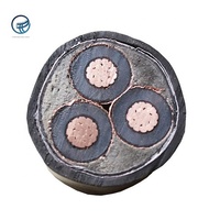 Câble haute tension 15kV 36kV AC XLPE avec gaine PVC, âme en cuivre, pour centrale électrique, personnalisé, norme GB/T12706-2008