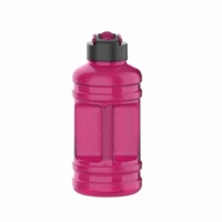 Bouteille d'eau en plastique de grande capacité avec paille et poignée Tasse à boire sportive portable Logo personnalisé Sans BPA Vente en gros