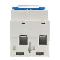 Interruptor Automático Miniatura (MCB) de 2 Polos, 125A, CA, para Riel DIN, 400V, 10kA, Tipo D