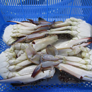 नए आगमन मौसम 2025 ताजा चीनी/चीन जमे हुए नीले तैराकी क्रब - Product Image 1