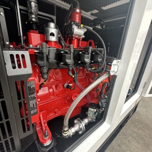 Generador de <span class=keywords><strong>Gas</strong></span> <span class=keywords><strong>Natural</strong></span>/Metano de Baja Potencia (30kw, 50kw, 80kw, 100kw, 120kw, 125kva, 150kw, 200kw) con Purificación de Biogás y CHP, 80% de Eficiencia, para Agua - Product Image 1