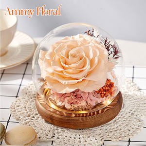 AM-PFA50 fiore Ammy conservato ha rifinito la copertura di vetro del fiore di san valentino regalo creativo della scatola regalo della decorazione di nozze - Product Image 4
