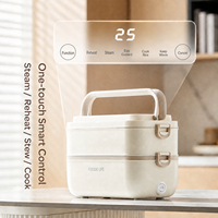 Boîte à lunch chauffante électrique portable Great Bear en acier inoxydable 304, double couche, 250W, pour adultes