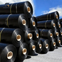 Revestimiento para Estanques de Acuicultura de Polietileno de Alta Densidad (HDPE) Anti-UV de 1 mm, Membrana Lisa DAM, Lámina de HDPE Duradera, Geomembrana