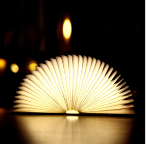 Clip magnétique sur lampe de lecture LED rechargeable USB veilleuse de bureau pour livres chambre cadeaux d'entreprise en gros - Product Image 5