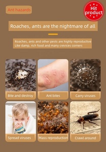 <span class=keywords><strong>Insecticida</strong></span> Fipronil al 0.05%, Cebo en Gránulos para Cucarachas y <span class=keywords><strong>Hormigas</strong></span>, Veneno para Control de Plagas en Interiores y Exteriores - Product Image 4