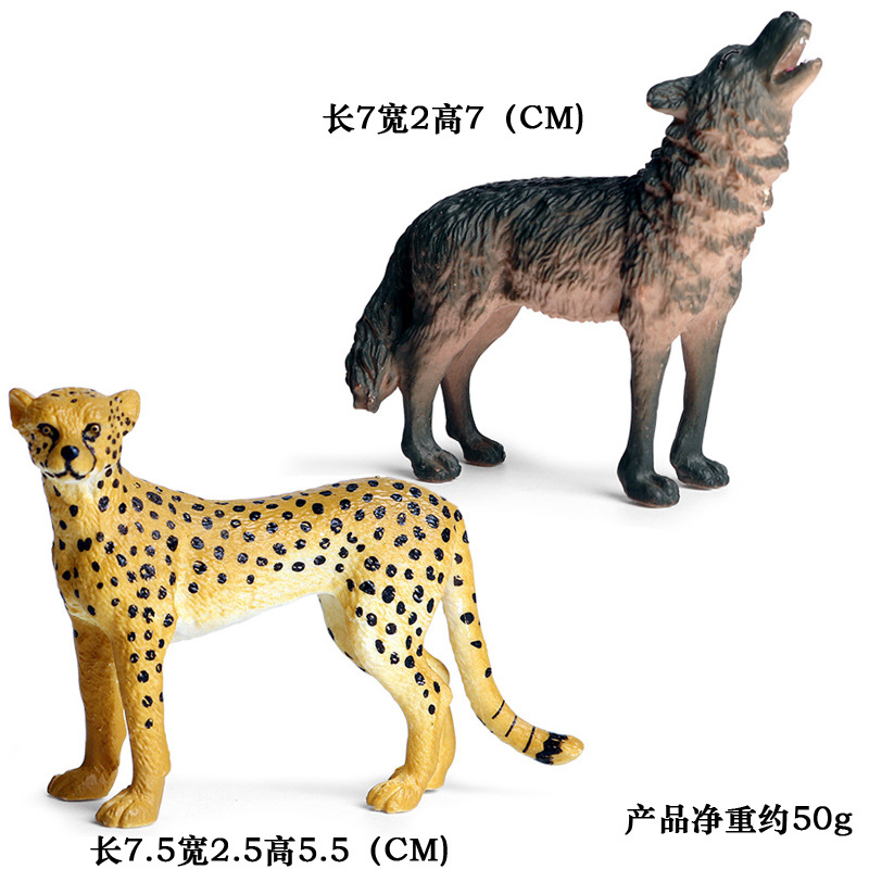 QW ghepardo a testa in su lupo