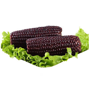 Producto de novedad sin OMG de mazorca de <span class=keywords><strong>maíz</strong></span> ceroso negro sellado al vacío fresco para el mercado de exportación - Product Image 4