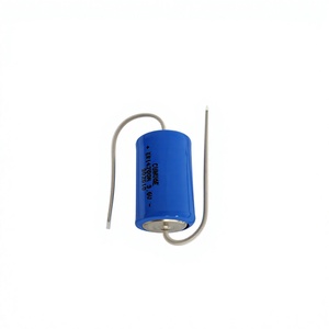Batteria al Litio <span class=keywords><strong>ER14250M</strong></span> 3.6V Li-SOCl2 1/2AA a Spirale ad Alta Capacità per Contatori Intelligenti - Product Image 5