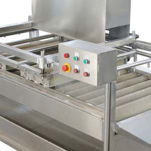 Máquina Industrial Yunqingtech para Lavar Sandías y Limpiar Caña de Azúcar y Frutas - Product Image 5