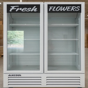 <span class=keywords><strong>Vitrina</strong></span> Comercial <span class=keywords><strong>Refrigerada</strong></span> <span class=keywords><strong>para</strong></span> Exhibición de Flores en Tiendas - Product Image 3