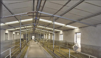Bâtiment d'élevage moderne préfabriqué en acier léger galvanisé pour moutons et chèvres, résistant à la corrosion, résistance au vent 121+ mph, indice 5+