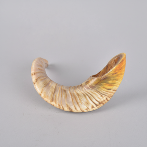 Shofar Kosher de la mejor calidad, ecológico, Natural, cuerno de carnero, oveja, técnica cruda pulida para fines religiosos, estilo de letra - Product Image 1