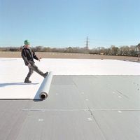 Membrane imperméable en TPO blanc écologique, résistante au vent et durable pour les usines, les entrepôts et les bâtiments publics