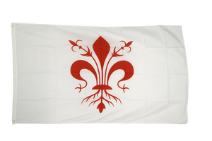 Bandera Nacional Italiana de Poliéster de 3x5 pies con Impresión Personalizada en Verde, Blanco y Rojo - Product Image 4
