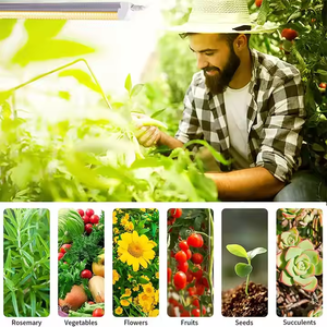 T8 LED Quang Phổ Đầy Đủ Phát Triển Đèn 60Cm/90Cm/120Cm Nhà Máy Trong Nhà Phát Triển Ánh Sáng Cho Rau Hoa Đánh Fruits-IP65 - Product Image 4