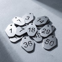 Plaque signalétique en acier inoxydable durable de haute qualité, forme personnalisée, étiquette à double trou, pendentif numéro, porte-clés numéroté