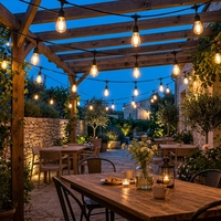 Guirlande lumineuse LED de 15 m, ampoules à filament S14, IP54, dimmable, blanc chaud, lumières suspendues pour jardin
