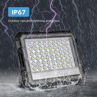 Projecteur solaire LED SMD 2835 haute puissance en plastique ABS pour extérieur, étanche IP65, 6000K, angle de faisceau 120°, pour aménagement paysager, 60W-300W, garantie 2 ans, conforme ROHS