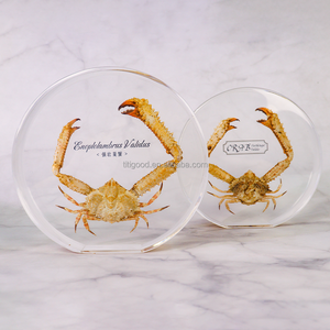 Resin Paperweight Resin Crafts Toys Resin Insects in Resin Crab Under the Sea Decorations Sea Crafts