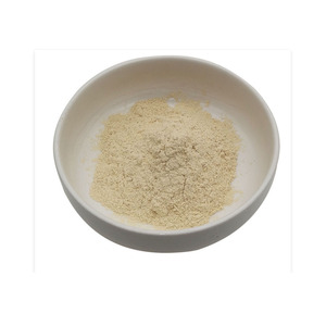Polvo de Durian Liofilizado, Polvo de Jugo de Fruta, Bebida Sólida en Polvo, Polvo de Fruta Soluble en Agua - Product Image 1