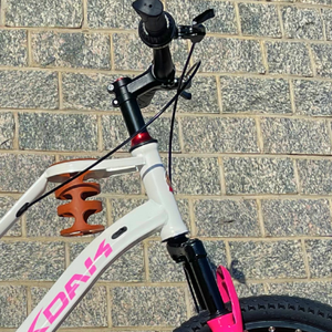 Vélo de montagne Enjoy pour <span class=keywords><strong>fille</strong></span>, frein à disque, fourche à suspension 38mm, soudage TIG, câble interne, jante en alliage d'aluminium double couche - Product Image 4