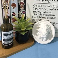Moule en silicone pour décorations murales en béton apparent, tête de lion, cadre photo, moule suspendu, plâtre, tête de lion ronde