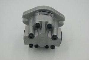 Bomba de Engranajes Hidráulica G5-6-1E13S-20R G5-8-1E13S-20R G5-5-1E13F-20L - Product Image 2