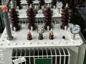 Transformateur en stock, commande directe usine / 200 kVA 13,8-0,48 kV Type Huile YNd11 Triphasé Élévateur 13,8 kV Générateur SafeHerm-20 - Product Image 5