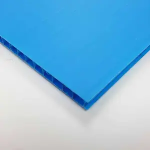 Aus gezeichneter Fabrik verkauf 18x24 4mm 6mm 8mm große blaue PP-Wellpappe für Kommission ier behälter