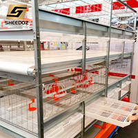 Nouvelles cages automatiques de type H pour l'élevage des poulets pondeuses et des poulets de chair, en acier galvanisé, économiques