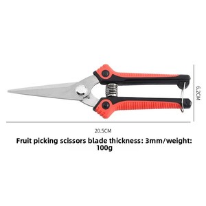 Ciseaux à fruits en acier inoxydable, ciseaux de jardin pour la taille des branches d'arbres et le jardinage, ciseaux multifonctionnels robustes - Product Image 4