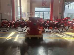 Ensemble de tête de puits en acier forgé API 6A de haute pression, très bien coté, pour <span class=keywords><strong>les</strong></span> projets de forage et de production pétrolière - Product Image 4