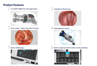 Ensemble de cystoscope HD IKEDA YKD-9102 avec pince compatible avec source de lumière électrique pour arthroscopie urologique de la hanche laparoscopie